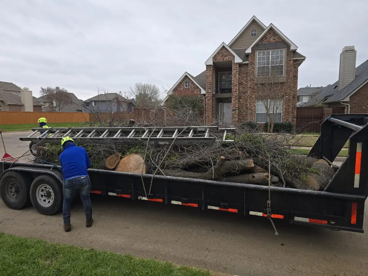 Expert Tree Fertilization with proper safety equipment in Fort Payne